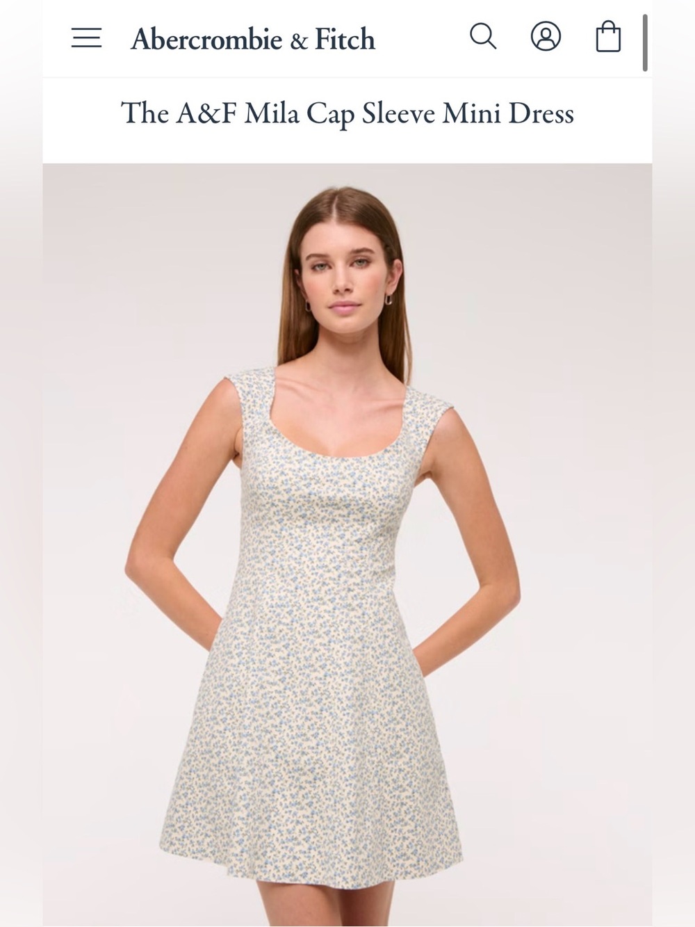 The A&F Mila Cap Sleeve Mini Dress - Ivory with Blue Floral Print